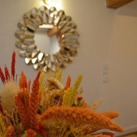 Charmant Appartement - Proche Chateau Cite 卡尔卡松 外观 照片
