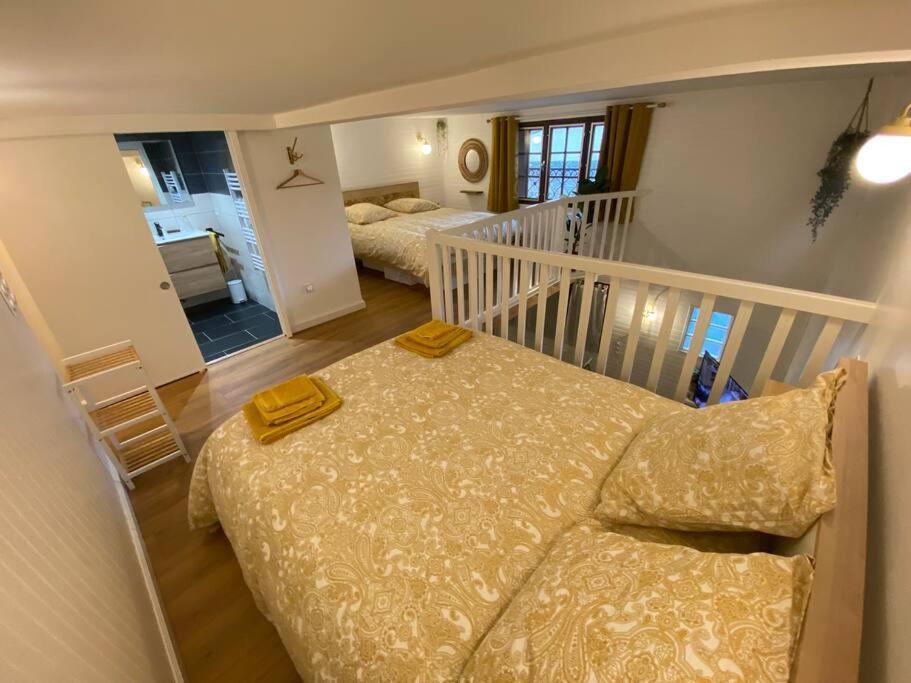 Charmant Appartement - Proche Chateau Cite 卡尔卡松 外观 照片