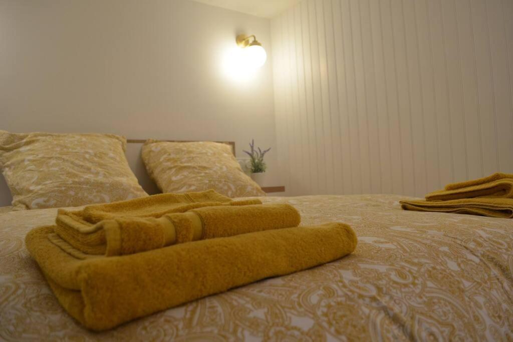Charmant Appartement - Proche Chateau Cite 卡尔卡松 外观 照片