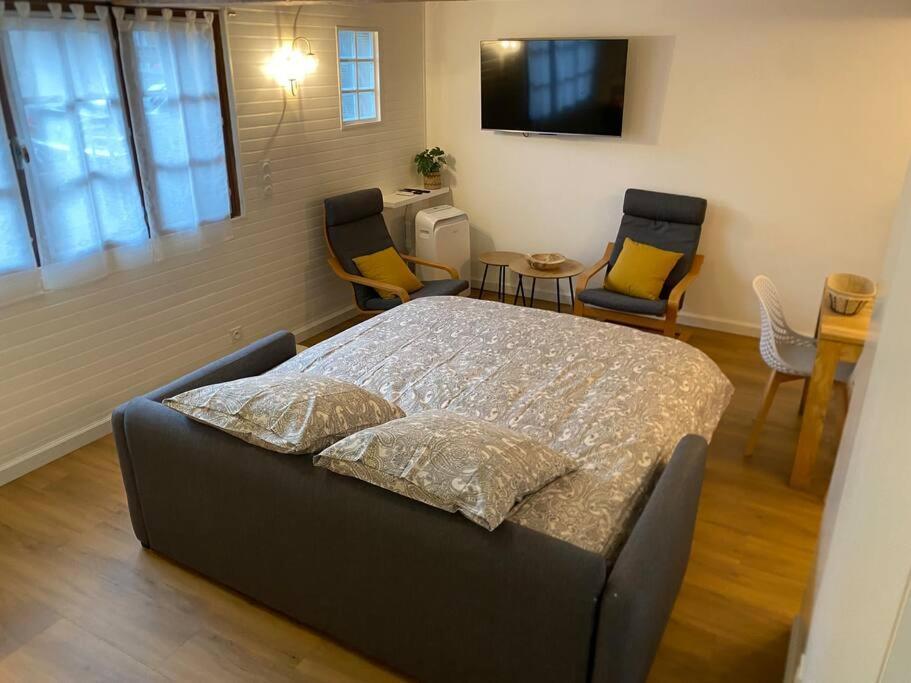 Charmant Appartement - Proche Chateau Cite 卡尔卡松 外观 照片