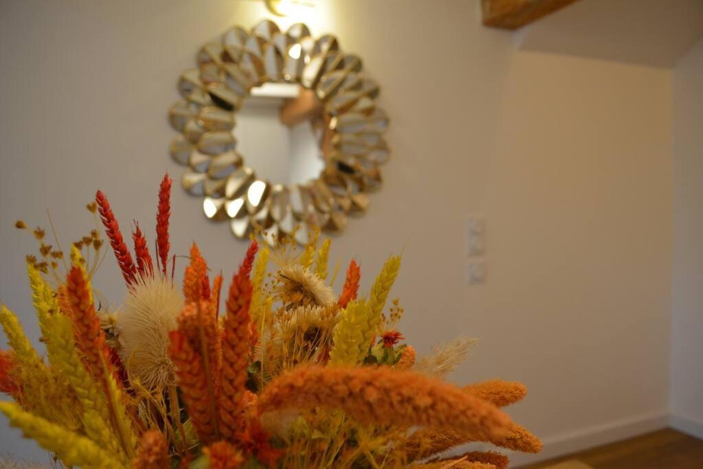 Charmant Appartement - Proche Chateau Cite 卡尔卡松 外观 照片