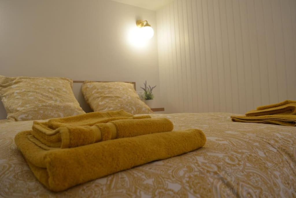 Charmant Appartement - Proche Chateau Cite 卡尔卡松 外观 照片