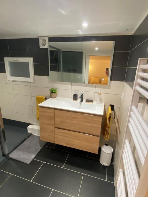 Charmant Appartement - Proche Chateau Cite 卡尔卡松 外观 照片